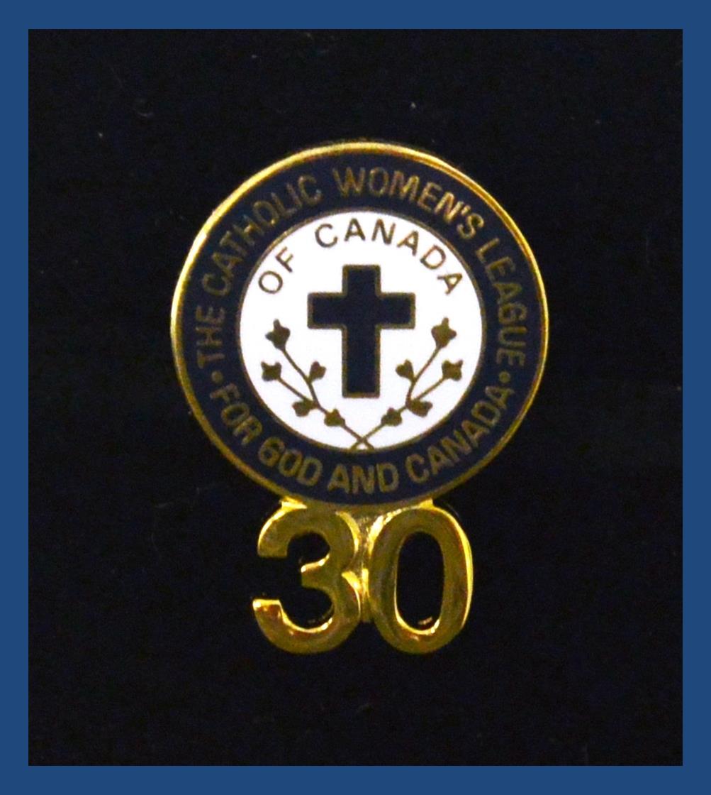 CWL 30 year pin